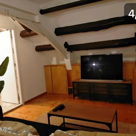Casa Flores del Mediterráneo-2
